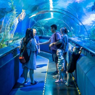 🐠  تذكرة دخول أكواريا كل سي سي(كوالالمبور) 🌊